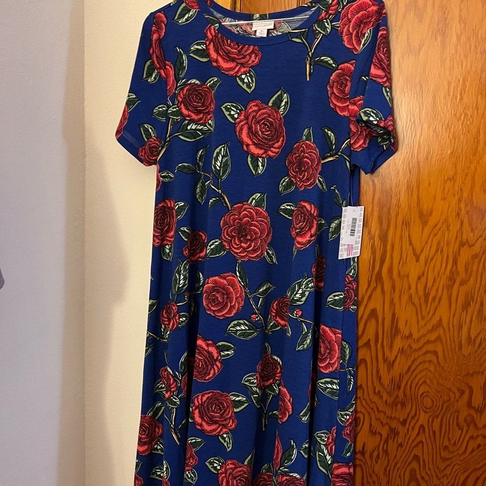 LuLaRoe Medium Carly brand new with tags